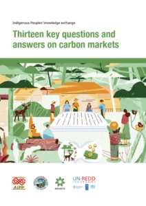 thirteen-key-questions-and-answers-on-carbon-markets.cover